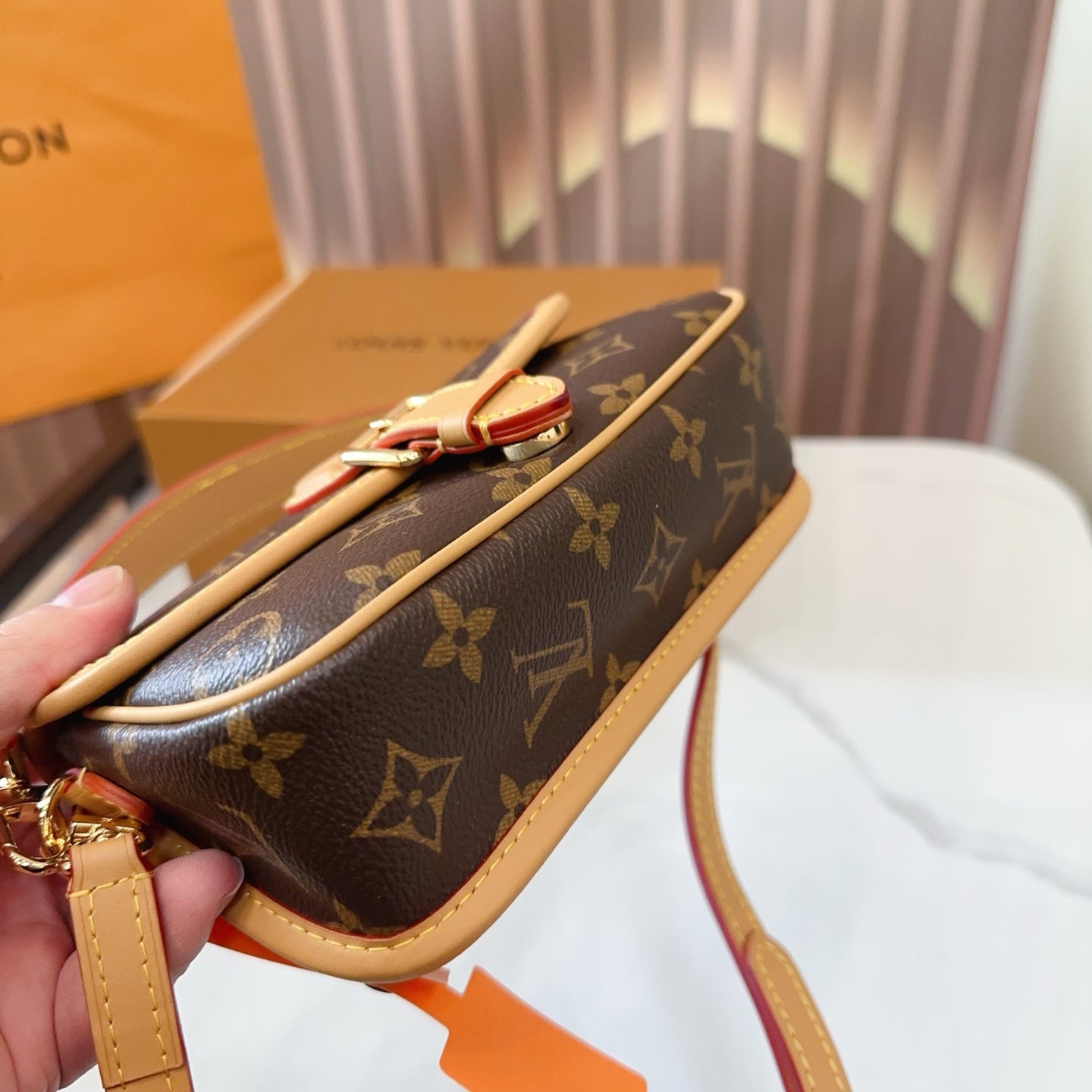 LV Diane PM Monogram Canvas Shoulder Crossbody Bag with Leather Trim and Adjustable Strap (19 x 12) cm