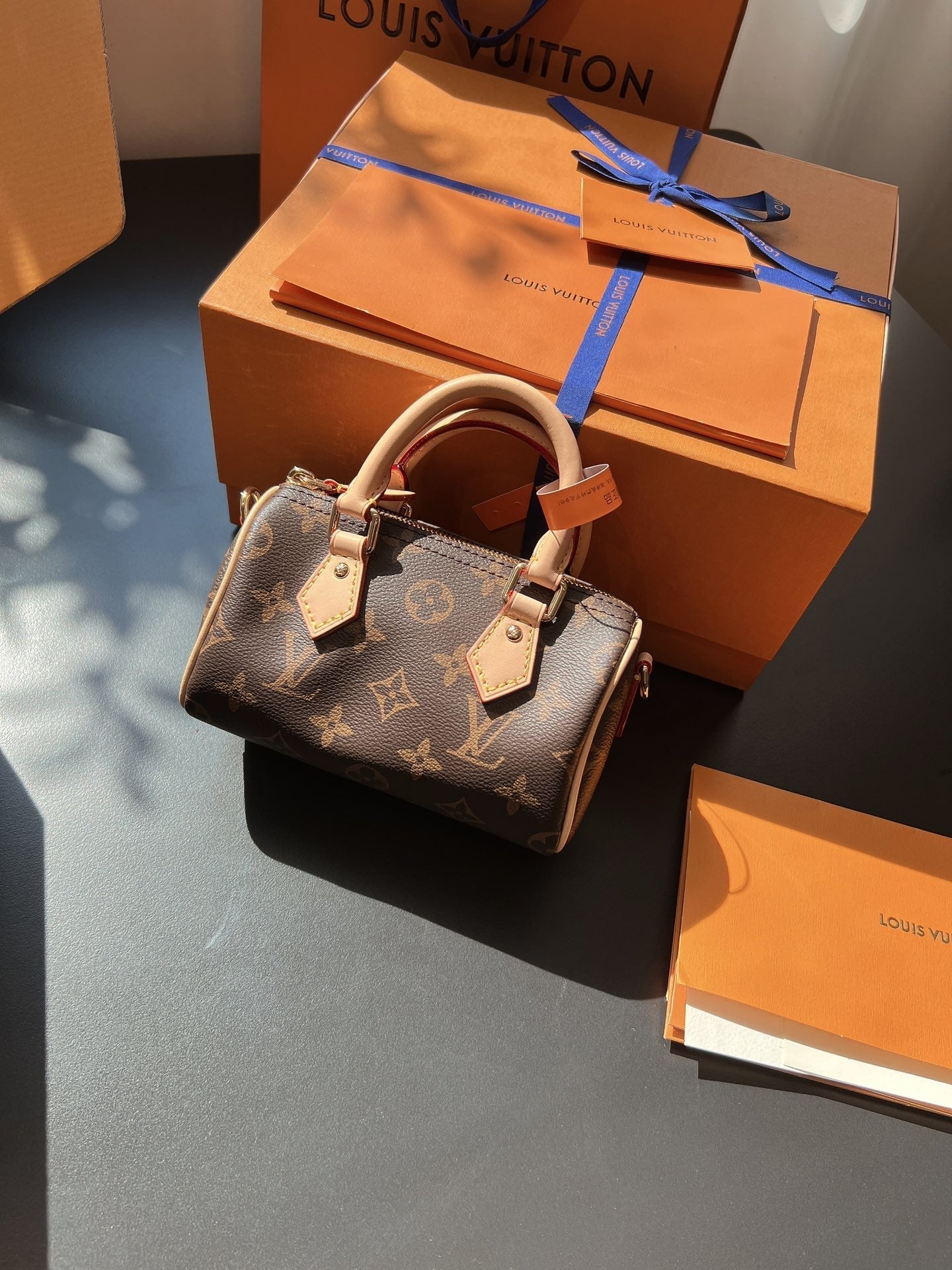LV Speedy Nano Monogram Canvas Handle Crossbody Bag with Leather Trim and Adjustable Strap 16 cm