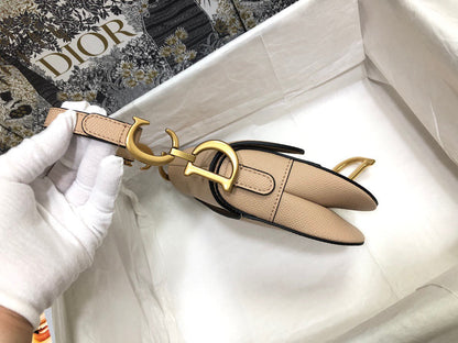 Dior Saddle Small Nude Color 21x18x5 cm