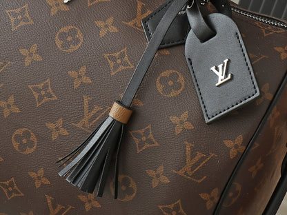 LV Speedy Soft 30 Boho Handbag