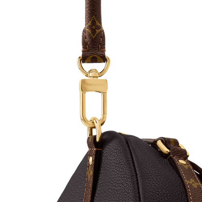 LV Express MM Bag