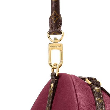 LV Express MM Bag