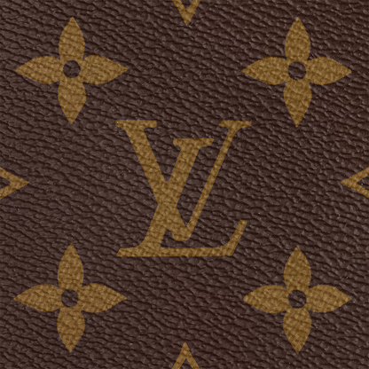 LV Multi Pochette Accessoires Bag