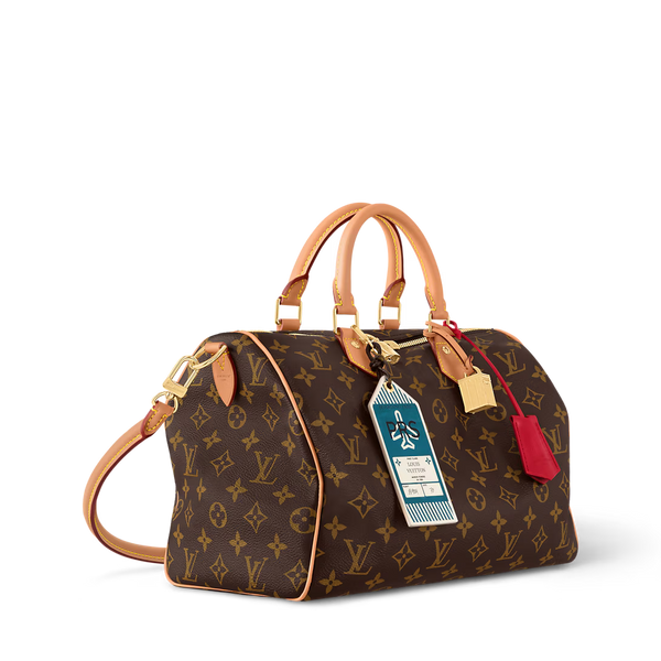 LV Speedy Soft 30 Crafty Bag