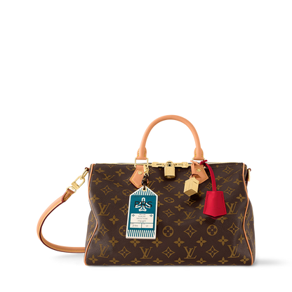 LV Speedy Soft 30 Crafty Bag
